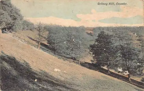 England Gritney Hill Coombe Trees Vintage Postkarte