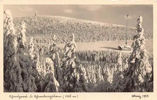 L323 Deutschland Winter in Grafschaft Glatz Bäume Vintage Postkarte