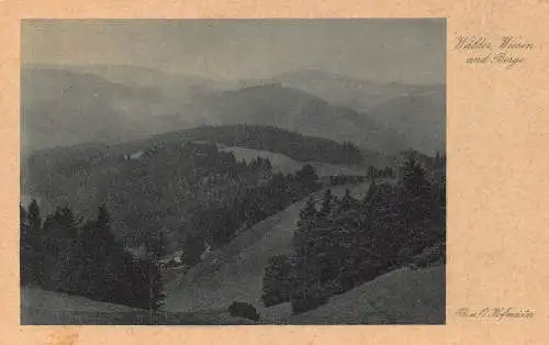 L322 Deutschland Waelder Wiesen und Berge Thüringer Wald Hohe Rhön Postkarte