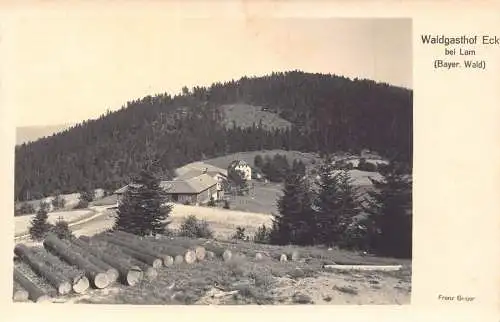 L322 Deutschland Bayr Wald Waldasthof Eck bei Lam Holz Vintage Postkarte
