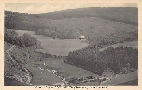L320 Deutschland Sommerfrische Oberkirchen Sauerland Hartmecketal Vintage Postkarte