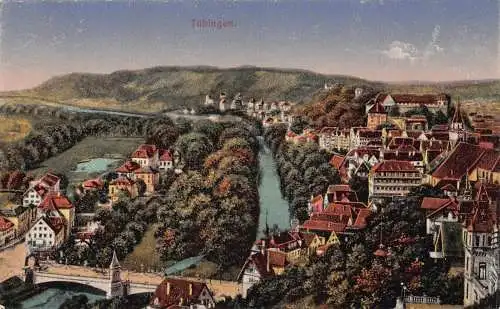 L319 Deutschland Tübingen Panoramablick Vintage Postkarte
