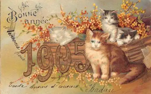 L178 Neujahrsgrüße 1904 Katzen Blumen Fantasy Prägepostkarte