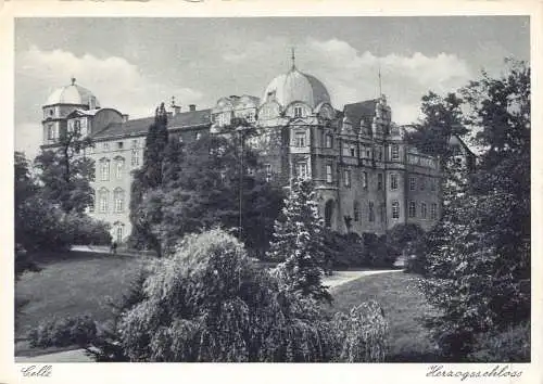 A081 Deutschland Schloss Celle Herzogschloss Vintage Postkarte
