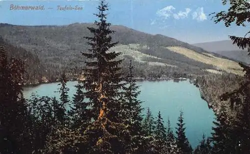 A079 Deutschland Böhmerwald Teufels See Kiefern Vintage Postkarte