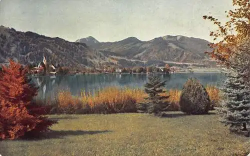A076 Deutschland 1917 Egern am Tegernsee Herbstlandschaft Vintage Postkarte
