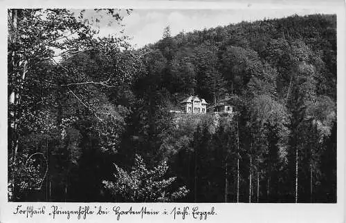 L052 Deutschland Forsthaus Prinzenhöhe bei Hartenstein Vintage Postkarte