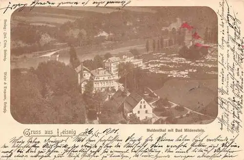 L010 Deutschland Gruss Aus Leisnig Muldenthal Bad Mildenstein Vintage Postkarte