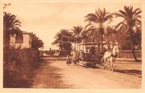 Algerien Biskra Le Tramway Pferdebahn Vintage Postkarte
