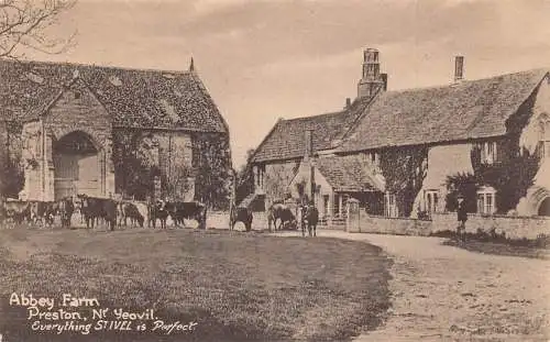 England Abbey Farm Preston Yeovil St Ivel Cattle Vintage Postkarte