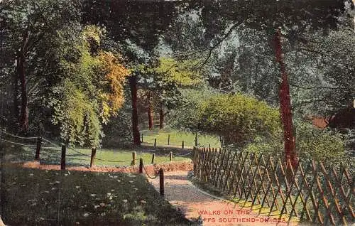 England 1908 Southend-on-Sea Spaziergänge auf den Klippen Vintage Postkarte