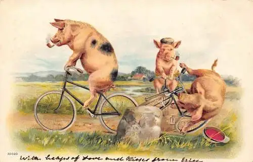 L348 Humanisierte Schweine Radfahrer Fahrräder Litho Comic Vintage Postkarte