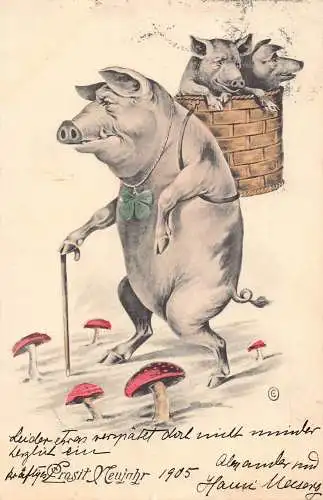 L347 Neujahr 1905 Humanisiertes Schwein Pilze Kleeblatt Glück Vintage Postkarte