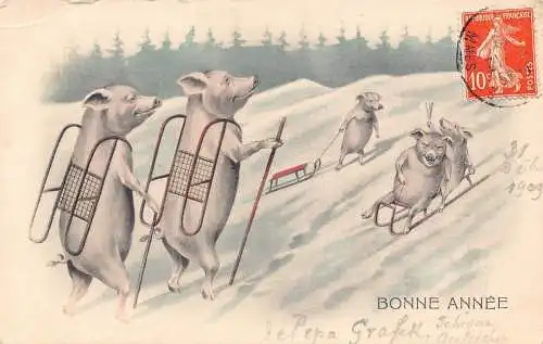 L348 Neujahr 1909 Humanisierte Schweine Schlitten anthropomorphe Comic Vintage Postkarte