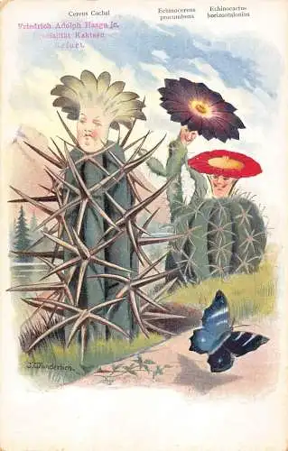 L338 Kaktus Humanisierte Blumen Fantasy Comic Wunderlich Vintage Postkarte