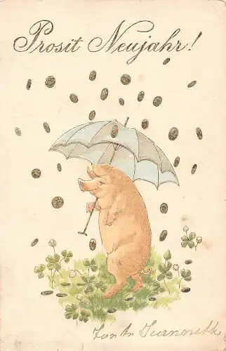 L347 Neujahr 1902 Humanisiertes Schwein Goldmünzen Kleeblatt Glück geprägt Postkarte