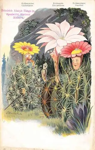 L338 Kaktus Humanisierte Blumen Fantasy Comic Wunderlich Vintage Postkarte