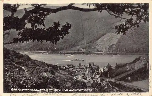 L152 Deutschland 1931 Schlecht. Assmannshausen a.Rh. Ansichtskarte Blick vom Niederwaldweg