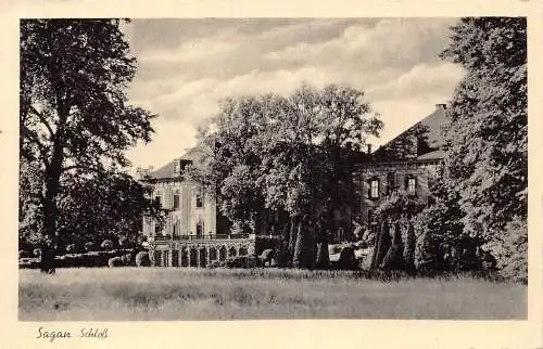 L263 Deutschland Schloss Sagan Schlossbäume Vintage Postkarte