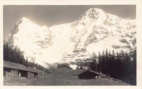 A088 Schweiz Mettlen Alp Eiger Mönch Berg Vintage Postkarte