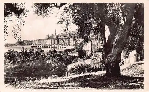 C100 Frankreich Menton vue prise entre les Oliviers Vintage Postkarte