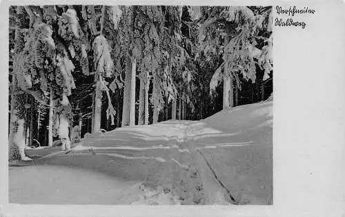 A085 Deutschland Unbekannter Wald im Schnee Winter Landschaft Weg Vintage Postkarte