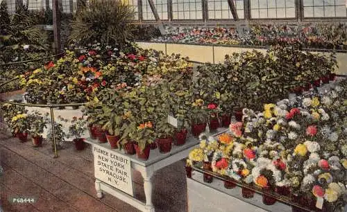 B028 US Blumenausstellung New York State Fair Syracuse Vintage Postkarte