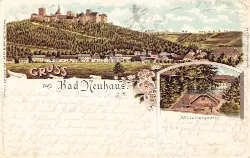 B031 Deutschland 1897 Gruss aus Bad Neuhaus Mineralquelle Blumen Litho Postkarte
