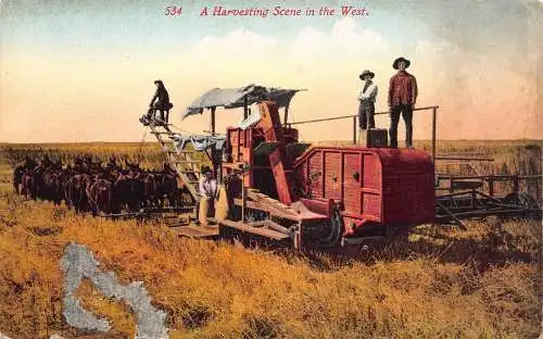 B031 US Ernteszene im Westen Landwirtschaft Bauern Rinder Vintage Postkarte