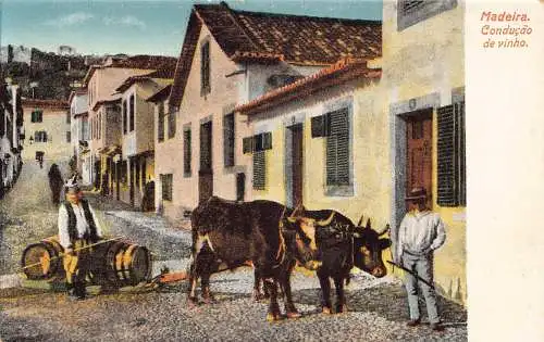 B031 Portugal Conducao de Vinho Weinfasswagen Bullocks Madeira Postkarte