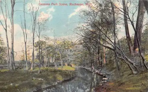 B030 US New York Rochester Genesee Park Szene Vintage Postkarte