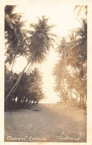 B033 Trinidad und Tobago Coconut Avenue Port of Spain RPPC Vintage Postkarte