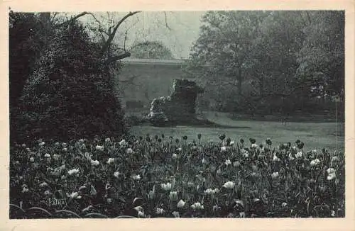 C091 Frankreich Paris Tulpenbeete Luxemburger Gärten Vintage Postkarte