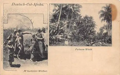 Deutsch Ostafrika Palmenwald M'tschiriri Weiber Stamm Vintage Postkarte
