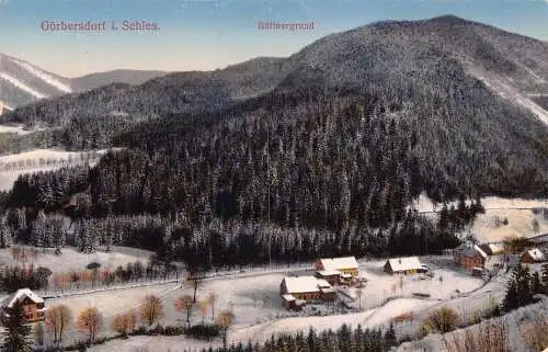 Polen Sokolowsko Görbersdorf i Schles Büttnergrund Berg Vintage Postkarte