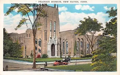US Peabody Museum New Haven Connecticut Vintage Postkarte