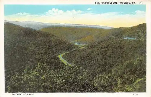 US Pennsylvania Malerische Poconos Forest Vintage Postkarte
