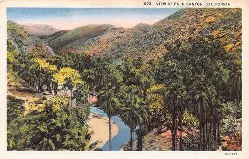 US California View of Palm Canyon Vintage Postkarte