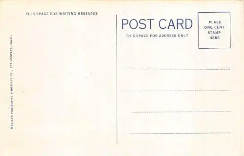 US California View of Palm Canyon Vintage Postkarte