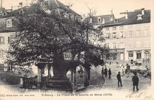 Schweiz 1903 Fribourg Le Tilleul de bataille de Morat Postkarte