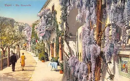Italien Capri Via Camerelle Liliac Blumen Postkarte