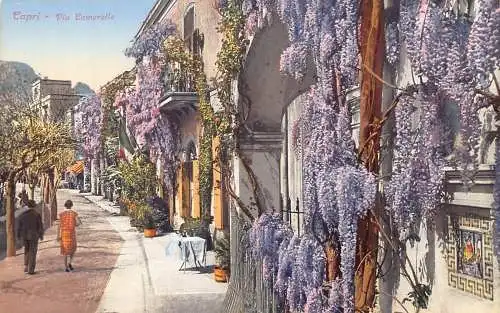 Italien Capri Via Camerelle Liliac Blumen Vintage Postkarte