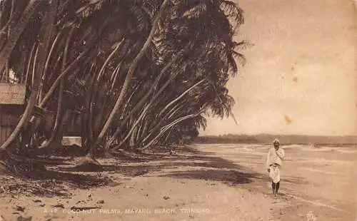 B035 Trinidad Coconut Palms Mayaro Beach Vintage Postkarte