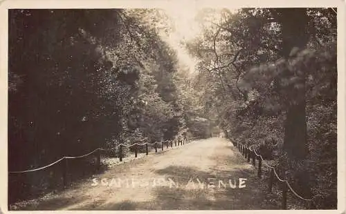 B036 England Scampston Avenue RPPC Vintage Postkarte