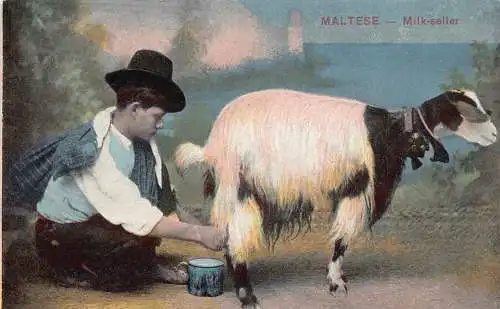 B035 Malta Milk Seller Native Boy Melking Goat Vintage Postkarte