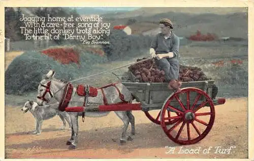 Irland 1962 Eine Ladung Rasen-Eselwagen Bauernhund Gedicht von Eva Brennan Postkarte