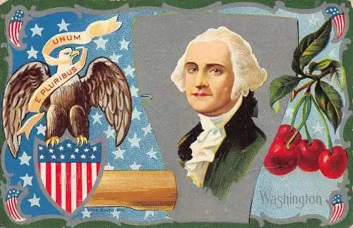 US Wappen Adler Kirschen Washington Axt Vintage Postkarte