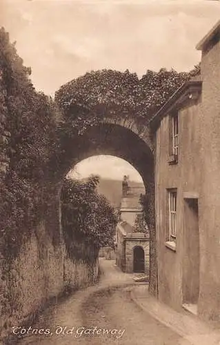 England Totnes Old Gateway Vintage Postkarte