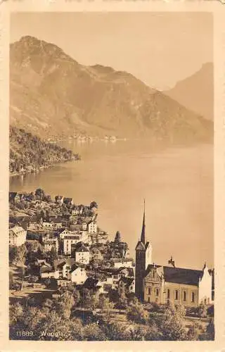 Schweiz Weggis Gesamtansicht Postkarte