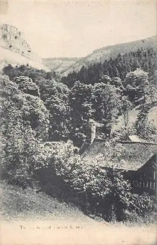 England Unidentified Willett's Serie Landschaft Wald Vintage Postkarte